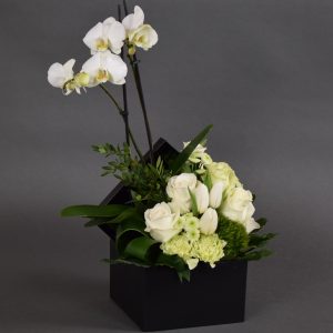 Aranjament Phalaenopsis (Mix 4)