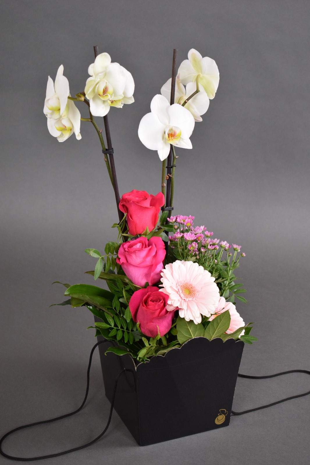 Phalaenopsis + mix de flori 1 în cutie neagra Siati