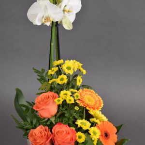 Phalaenopsis + Mix de flori în cutie print Siati