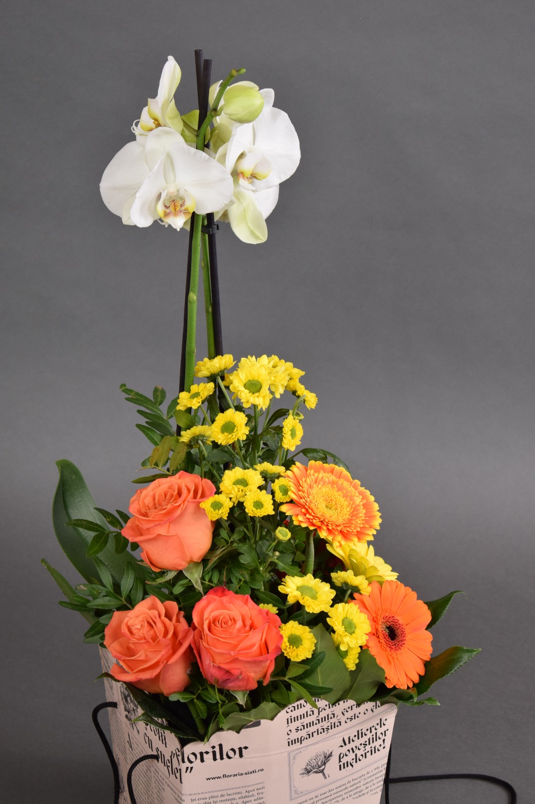 Phalaenopsis + Mix de flori în cutie print Siati